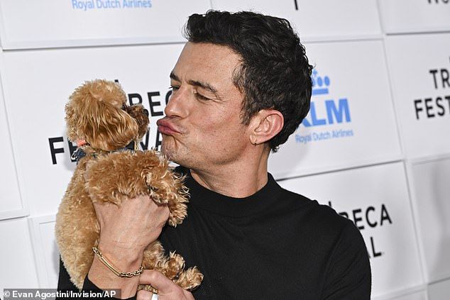 Orlando, who wore a slim black sweater and gray tonal pinstripe trousers, made humorous kissing faces at the miniature pooch as he posed on the red carpet