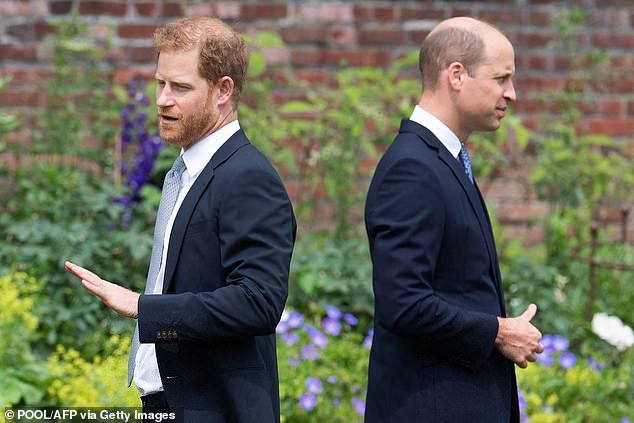 Prince Harry has made a career out of being the 'spare' to Prince William, according to a royal expert