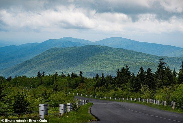 A view of the Green Mountain National Forests in Vermont