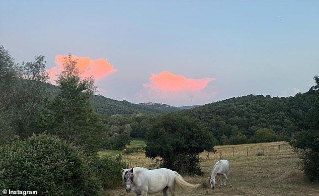 A scenic shot captured horses with a mountainous sunset in the backdrop