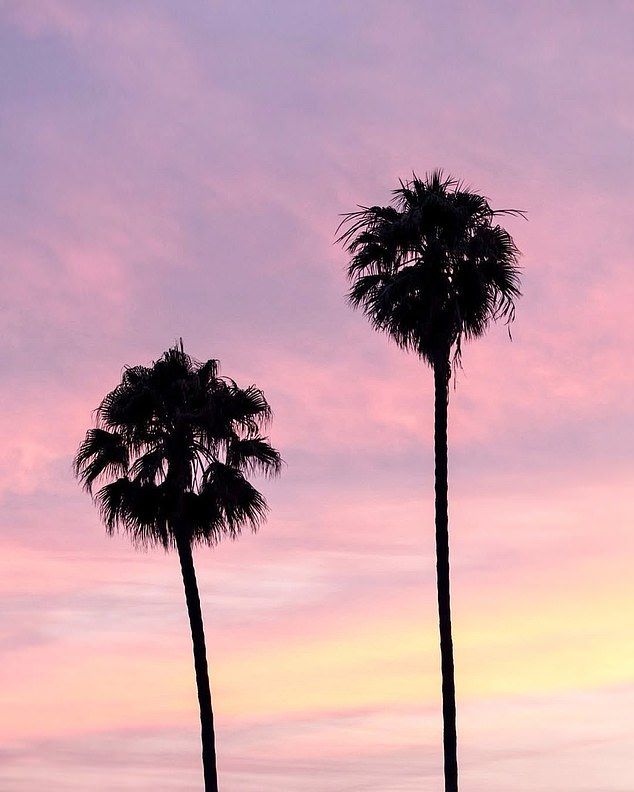 Late on Monday night, a new post on the business's official Instagram page showed the silhouette of two palm trees against the backdrop of a pink-hued sky as the sunset in California