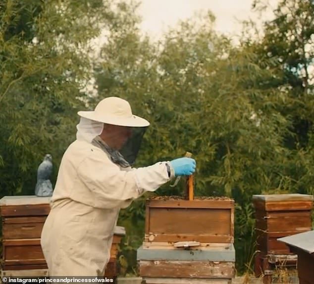 A beekeeper was hard at work during the clip - with Kate herself previously revealing that beekeeping is one of her hobbies