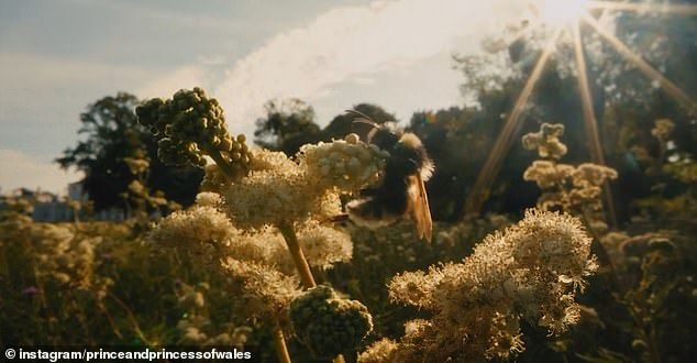 Bees were a common theme in the clip - and Kate previously showed her fondness of bee keeping on World Bee Day