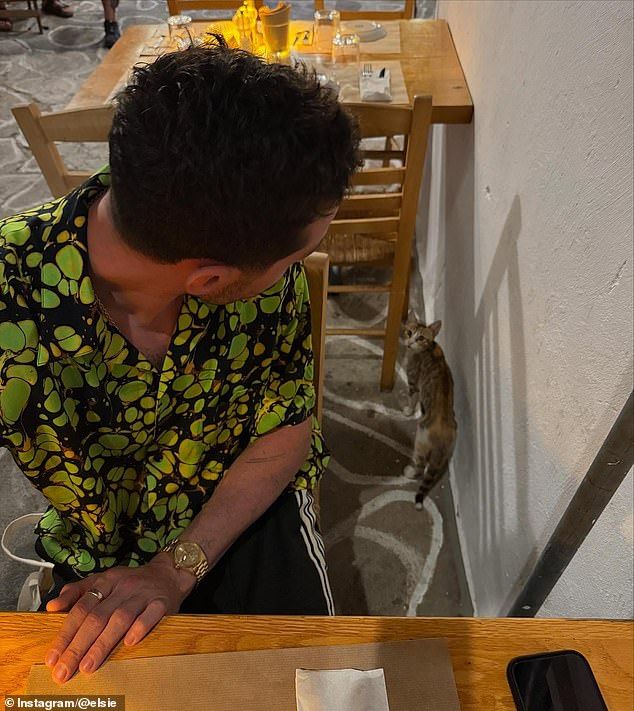 Another cute image was of Pete in a black-and-green shirt at an outdoor table in a restaurant as he looked at a lone gray cat