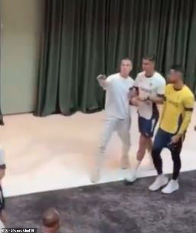 The fan managed to get past security and ended up approaching Portugal star Ronaldo
