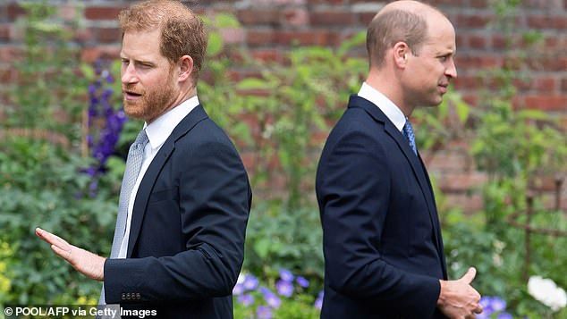 Prince Harry and William standing apart at the unveiling of a statue of their mother, Princess Diana, at the Sunken Garden in Kensington Palace in 2021