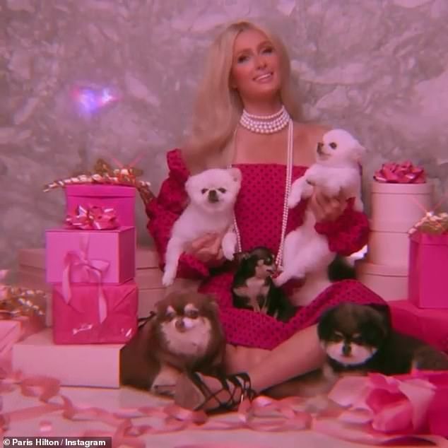 When asked what was the first thing she ever bought, the socialite replied: 'A pink, monogrammed Dior doggy bag for my dog Tinkerbell' (Paris pictured with some of her pooches)