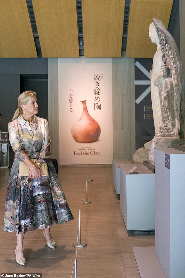 Sophie, who accessorised her lavish frock with a pair of co-ordinating heels and a clutch bag, is pictured taking in the artwork at Nezu Museum