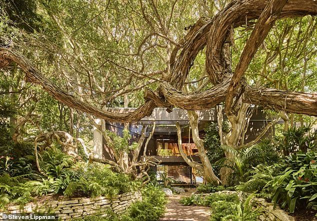 In the middle of the property lies a unique and tranquil botanical-like garden, also known as an arboretum pavilion