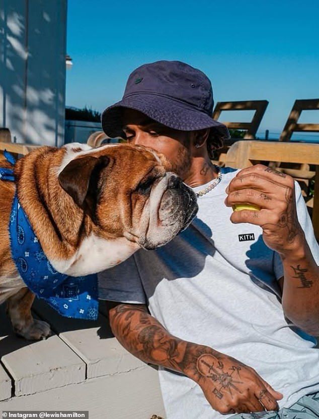 The 40-year-old frequently posted sweet pictures of himself with Roscoe in between races